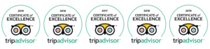 Certificate of Excellence Tripadvisor 2016 2017 2018 2019 - Athena Cruise