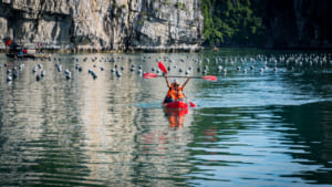 kayaking athena cruise - Athena Cruise