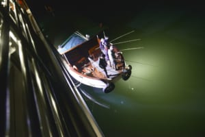 Squid fishing - Athena Cruise