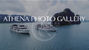 background photo gallery athena 01 - Athena Cruise