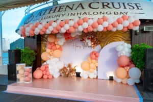 z3964945956374 7b8e55ce7379b90cb18b1a861cd1ee89 1 - Athena Cruise
