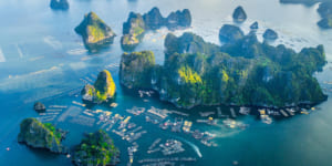 bai tu long bay - Athena Cruise